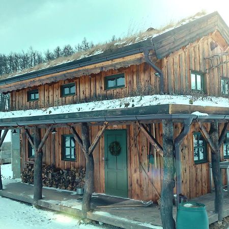 Chalet Boruvka - Biofarma Na Samote V Lesich Benesov  Exterior foto
