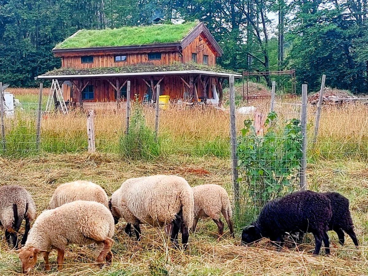 Chalet Boruvka - Biofarma Na Samote V Lesich Benesov  Exterior foto