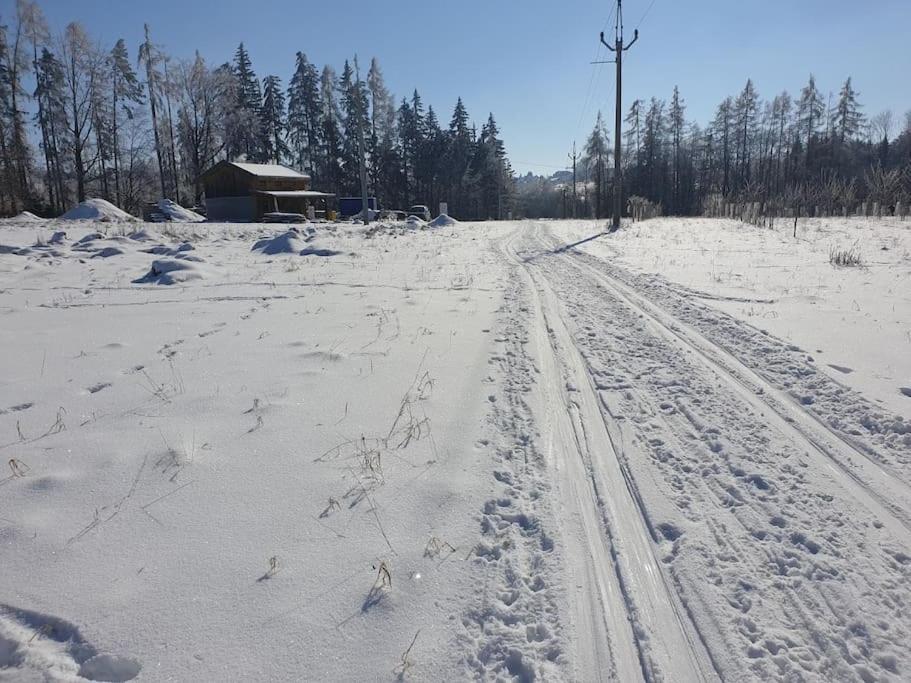 Chalet Boruvka - Biofarma Na Samote V Lesich Benesov  Exterior foto