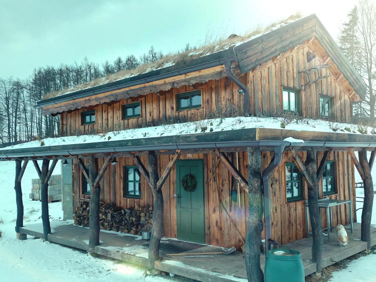 Chalet Boruvka - Biofarma Na Samote V Lesich Benesov  Exterior foto