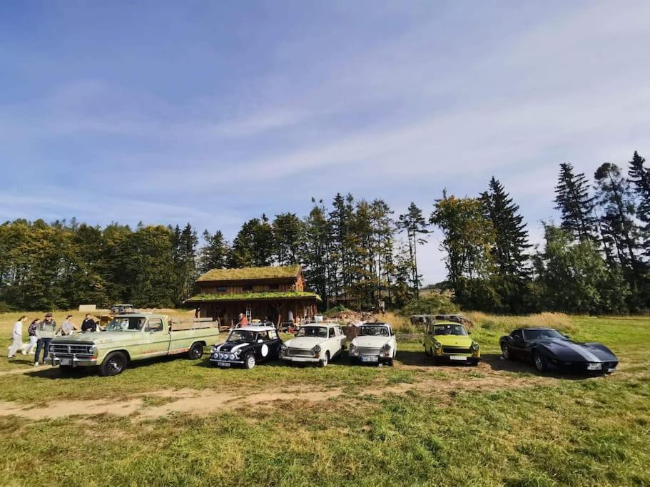 Chalet Boruvka - Biofarma Na Samote V Lesich Benesov  Exterior foto