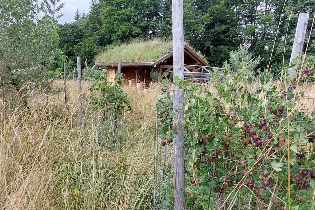 Chalet Boruvka - Biofarma Na Samote V Lesich Benesov  Exterior foto