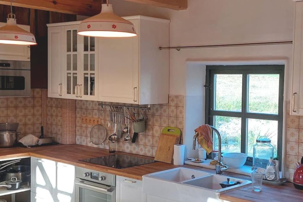 Chalet Boruvka - Biofarma Na Samote V Lesich Benesov  Exterior foto