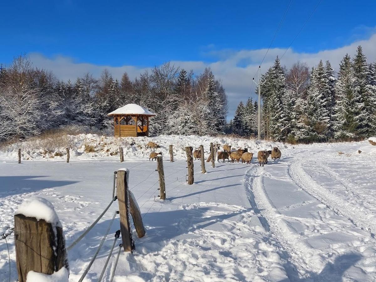 Chalet Boruvka - Biofarma Na Samote V Lesich Benesov  Exterior foto